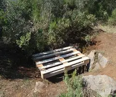Fotografía de HOSTENCH, AVENC (5 de 5)