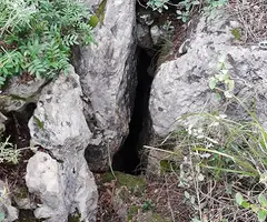 Fotografia de SERRA DEL MAS, COVA SM-18 DE LA (1 de 6)