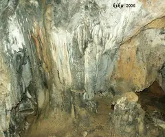 Photographie de NEGRE DE BÓIXOLS, FORAT (6 sur 6)