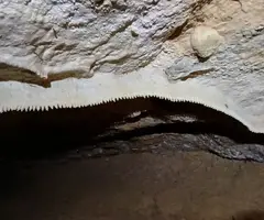 Fotografia de REC DE LES MUNTANYETES, COVA DEL (7 de 7)