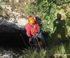 Fotografia de MAÇANA, BÒFIA DE (6 de 11)