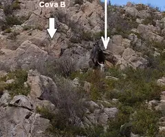 Fotografia de OLOPTE, COVA C D' (1 de 5)