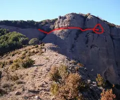 Fotografia de PALOMERA, GRALLER DE LA (1 de 2)
