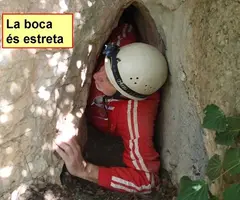 Fotografia de ROQUEROLS, COVA DE (1 de 4)