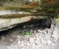 Fotografia de PASQUALÓ, COVA DEL (2 de 2)