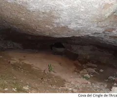 Photographie de CINGLE DE L'ARCADA, COVA DEL (2 sur 2)
