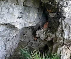 Photographie de CÀNTERS, COVA DELS (1 sur 1)