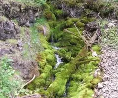 Fotografía de RIU DE MOLA, FEUS DEL (1 de 2)