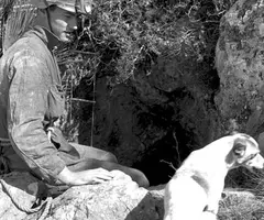 Photograph of ESMENADOR I DEL TOSSAL DEL JONC, AVENCS DE L' (2 of 7)