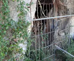 Fotografía de BRUIXES, COVA DE LES (1 de 2)