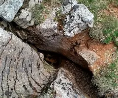 Fotografia de CAMÍ NOU, FORAT DEL (3 de 4)