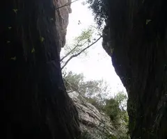 Fotografia de MOTLLATS DE LA PONA, AVENCOTS DELS (6 de 6)