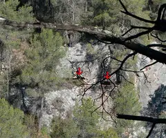Fotografia de PERDIGONES, COVA GRAN DE (1 de 6)