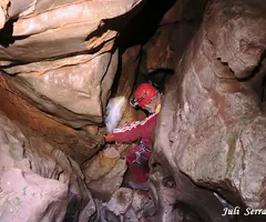 Fotografía de CARNISSERIA, CAU PETIT DE LA (4 de 5)