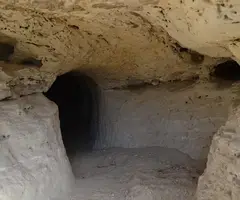 Fotografía de MONGONS, COVA DELS (4 de 4)