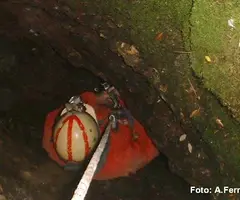 Fotografía de BREGA, AVENC DE LA (1 de 1)