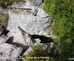 Photographie de PALOMA, AVENC DE LA (1 sur 1)