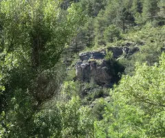 Fotografia de SANT MARTÍ DELS CASTELLS, BALMA DE (1 de 1)