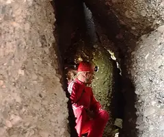 Fotografia de COLUMNA, COVA DE LA (4 de 8)