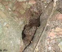Fotografia de FONT FALSA DE GUANTA, LA (4 de 4)