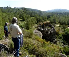 Fotografia de PENYES DEL FUSTER, AVENC DE LES (1 de 5)