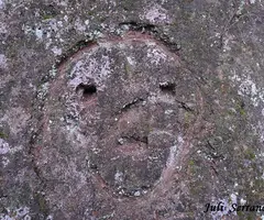 Fotografía de CALAVERA, COVA DE LA (1 de 13)
