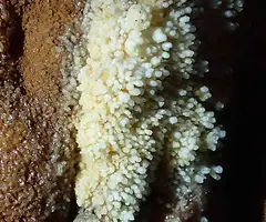 Photographie de ALZINES, AVENC DE LES (22 sur 22)