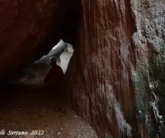 Fotografia de FONT DE LA COVASSA, COVA DE LA (5 de 9)