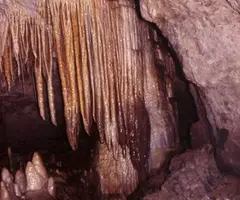 Photographie de SERRAT DEL VENT, COVA DEL (7 sur 20)
