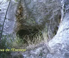 Fotografía de ESCORPÍ, COVA DE L' (2 de 2)