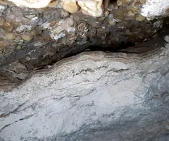 Fotografia de MUXÍ, COVA DE (5 de 6)