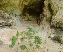 Fotografia de BASSOT, COVA DEL (2 de 2)