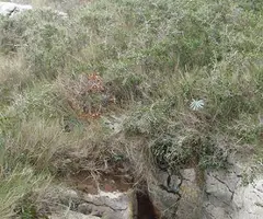 Photograph of TRES, AVENC DELS (1 of 9)