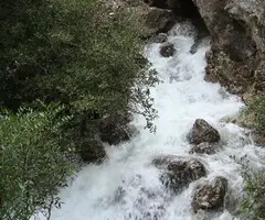 Photographie de FOU DE CAPÇANES, LA (1 sur 6)