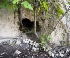 Fotografía de FIGUERA, COVA DE LA (1 de 3)