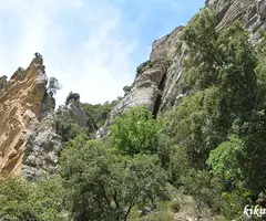 Fotografia de PAS DE L'OSCA, COVA DEL (1 de 9)