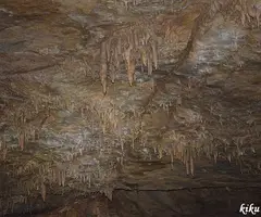 Fotografía de PUIG DE LES BRUIXES, FORAT DEL (12 de 16)