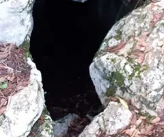 Fotografía de CAL SANT, COVA DE (2 de 5)
