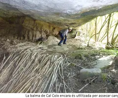 Fotografia de CAL COIX, BALMA DE (3 de 4)