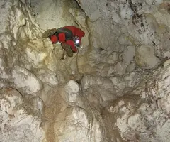 Photographie de ESTRULLS, GRALLER D' (7 sur 11)
