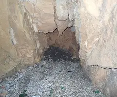 Fotografia de COMTESSA, GRALLERA DE LA (8 de 9)