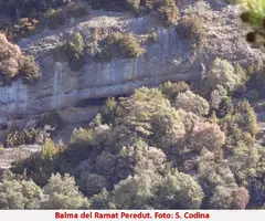 Fotografia de RAMAT PERDUT, BALMA DEL (3 de 4)