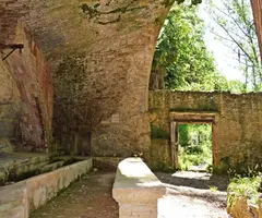 Photograph of RENTADOR DE LA LLANA DEL ROQUER, BALMA DEL (3 of 6)