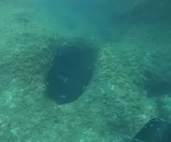 Fotografía de PUNTA GROSSA, COVA SUBMARINA DE LA (1 de 5)