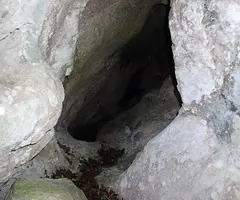Fotografia de PELAGONS, AVENC DELS (4 de 4)