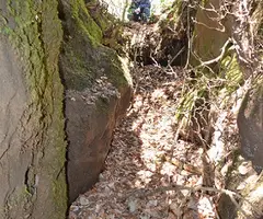 Fotografia de LLAURADOR, FORAT DEL (2 de 3)