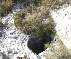 Photographie de PADRÓ, COVA-AVENC DEL (8 sur 8)