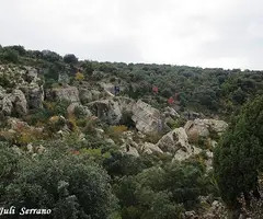 Fotografia de PARDINA, GRALLER Nº2 DE LA (1 de 9)