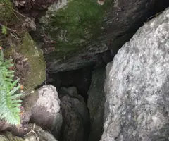 Fotografia de MAS DEL DINERAL, AVENC DEL (1 de 2)
