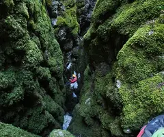 Photographie de PORTÚS, GRALLER DEL (13 sur 14)